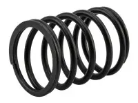 Пружина вестгейта 60 мм Tial style V-band (1.5б)