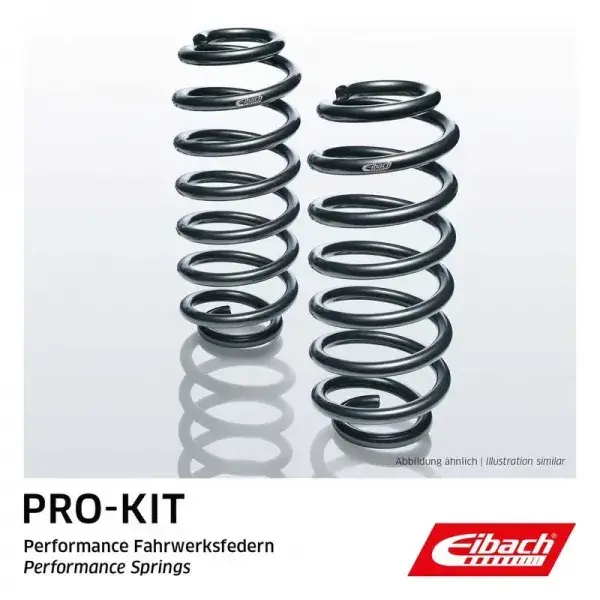 E10-20-032-04-20 (BMW X5, X6) Front Springs